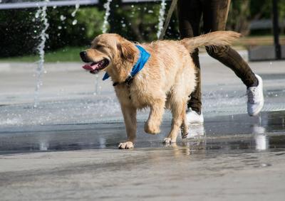 Прикрепленное изображение: DSC_7696-1.jpg